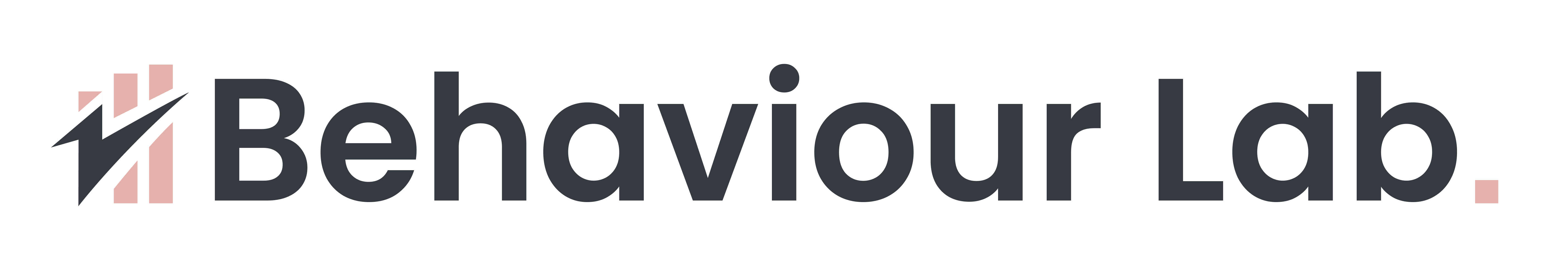 Behaviour Lab logo