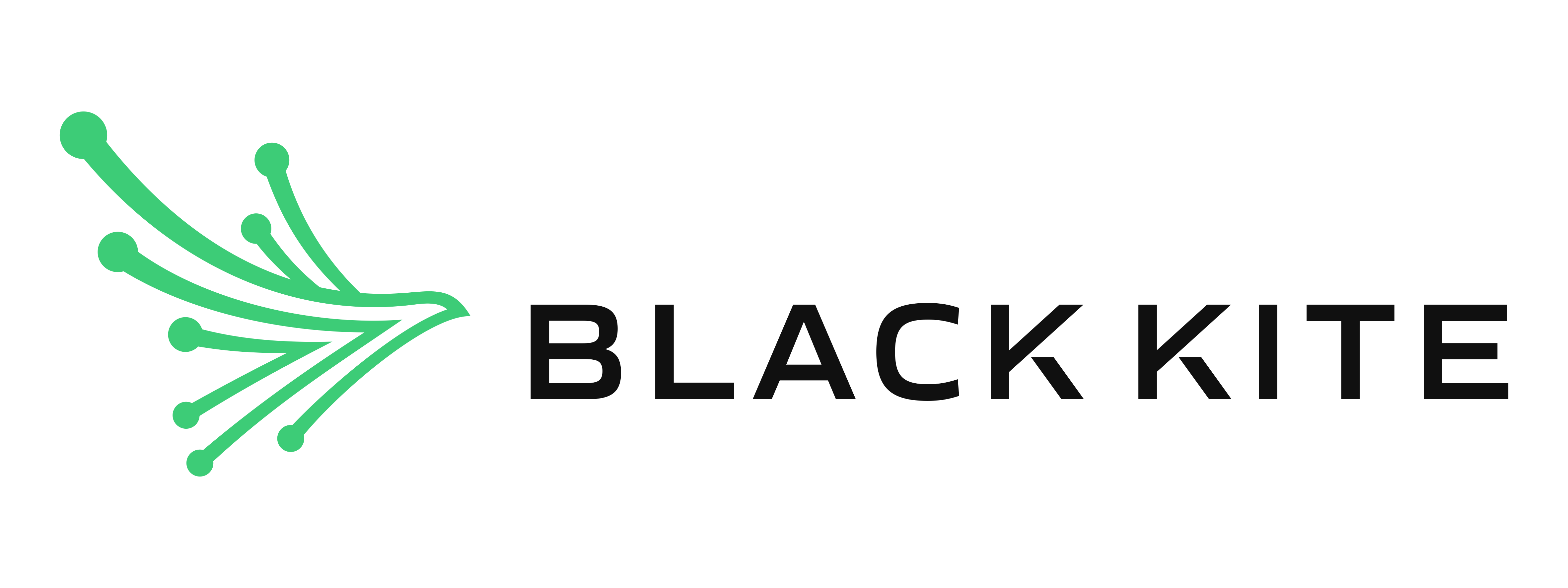 Black Kite logo