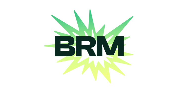 BRM Labs Inc logo