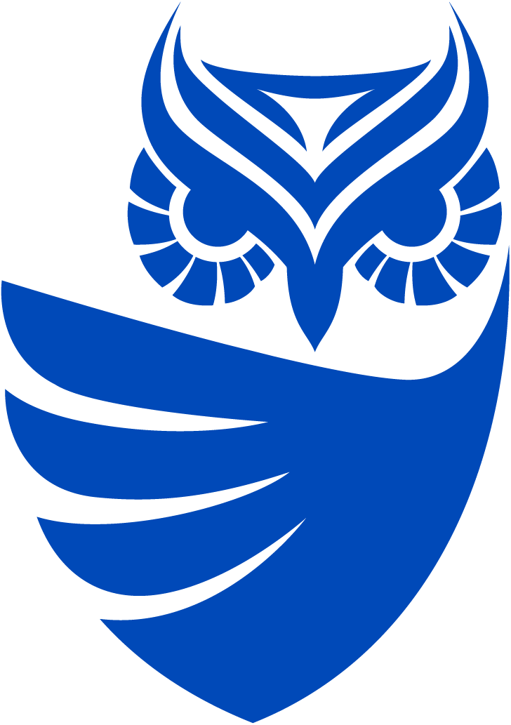 Cognisys Group Ltd logo