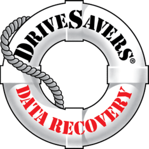 Datasavers logo