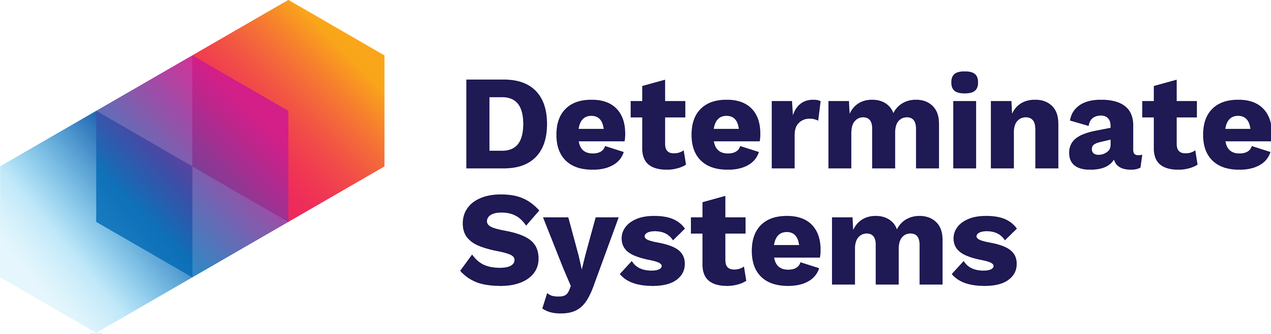 Determinate Systems logo