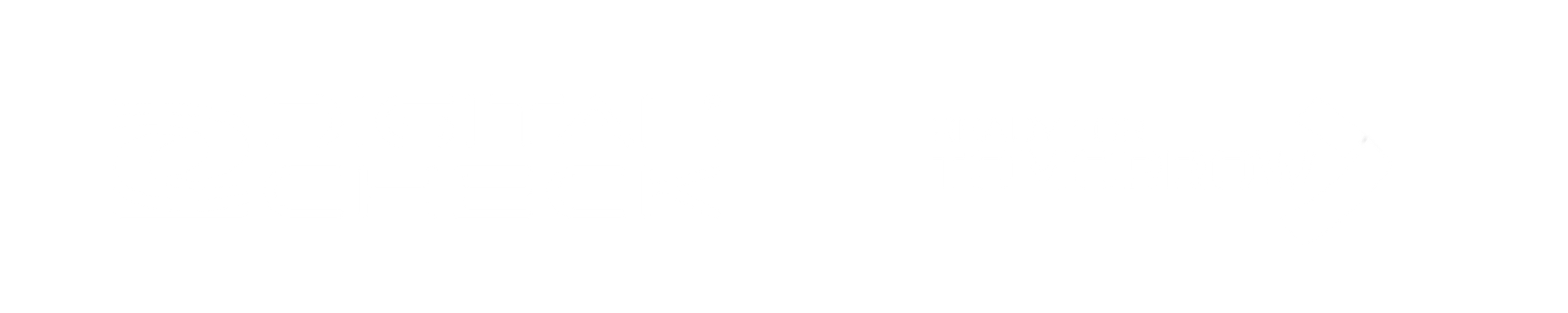 Digital Check Corp logo