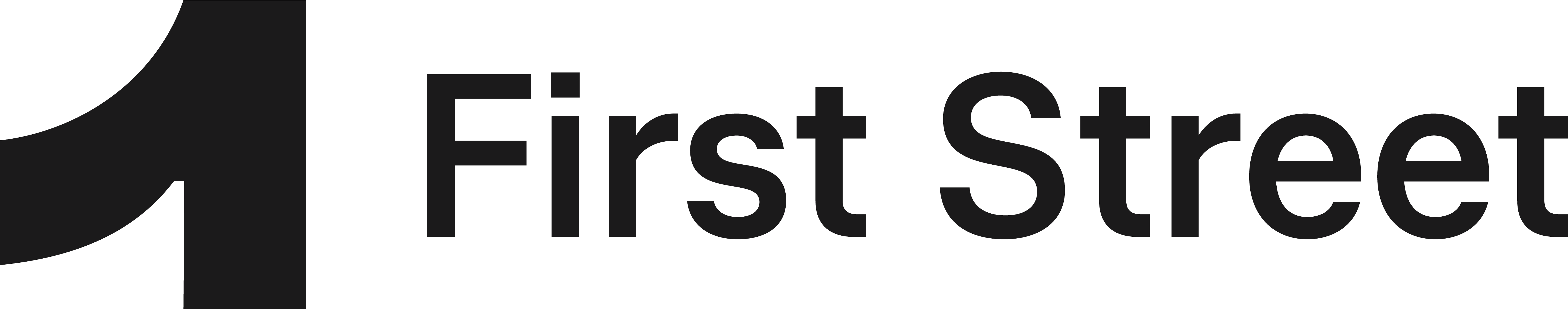 1st Street Foundation Inc logo