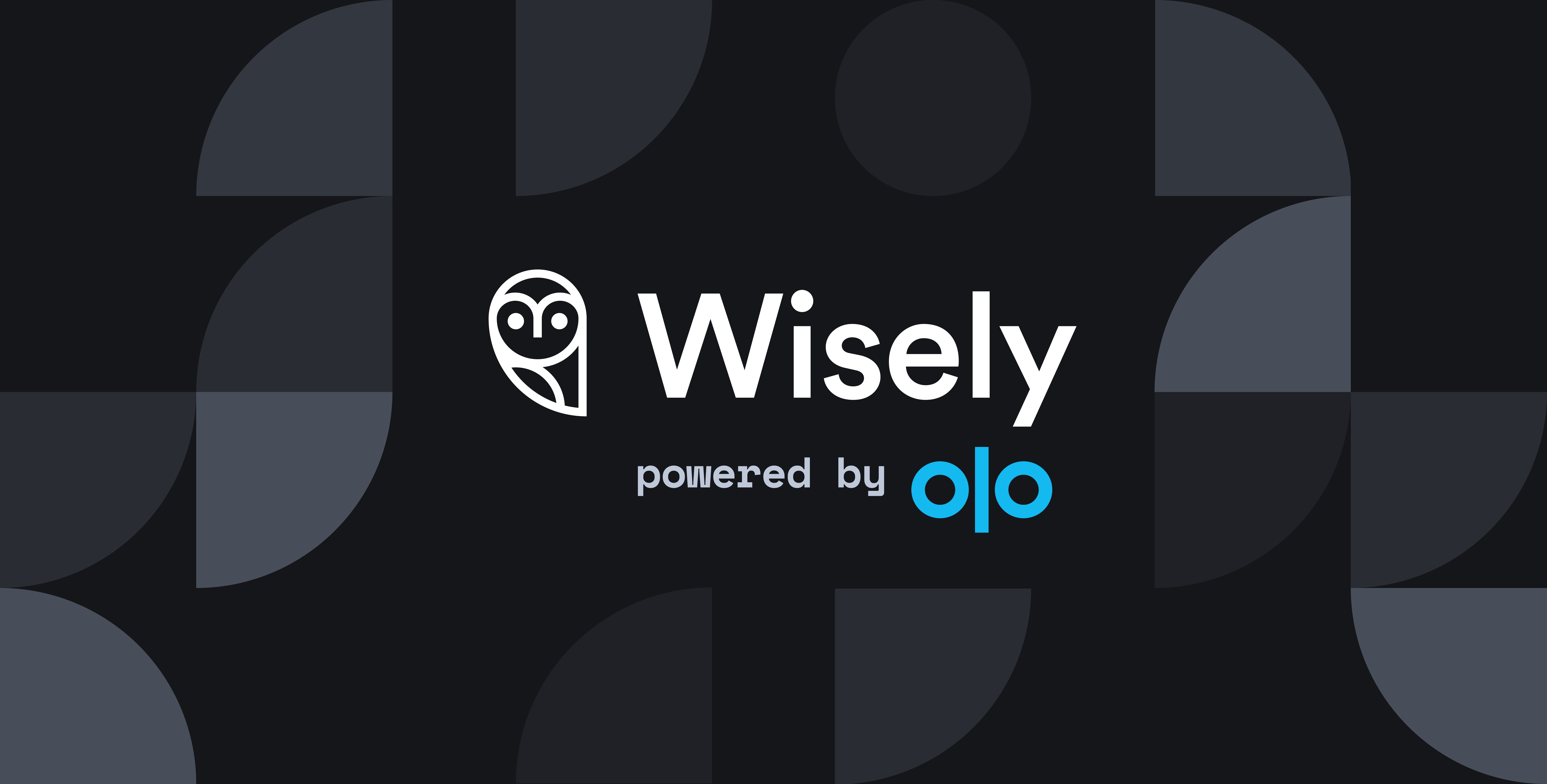 Wisely Inc logo