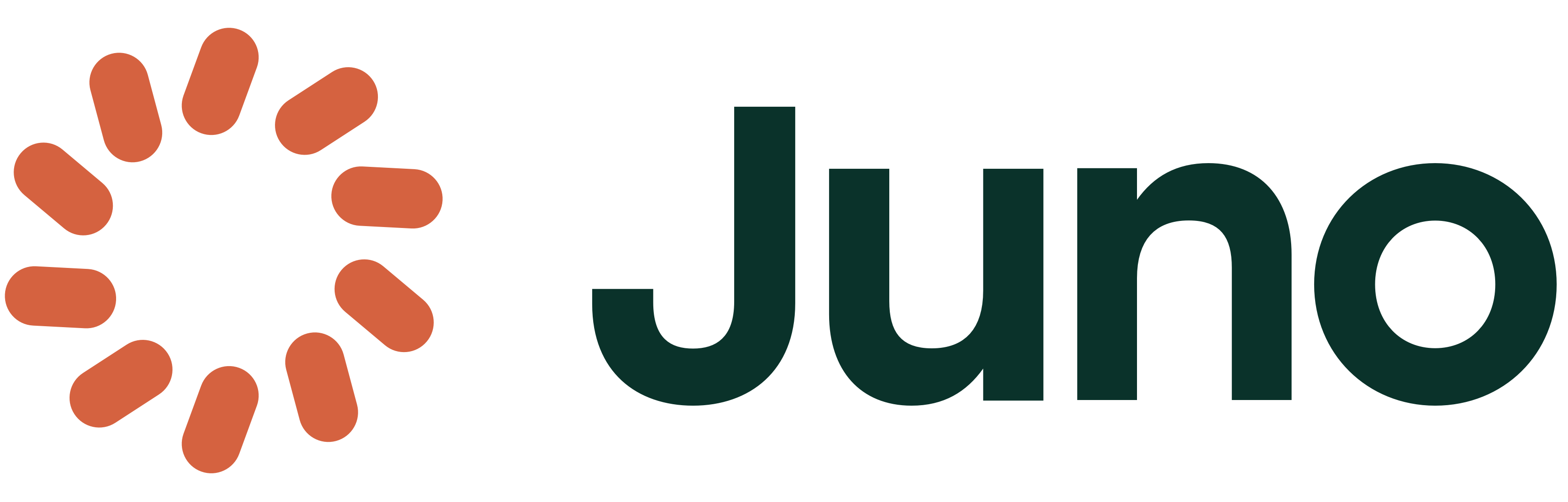 Heyjuno logo