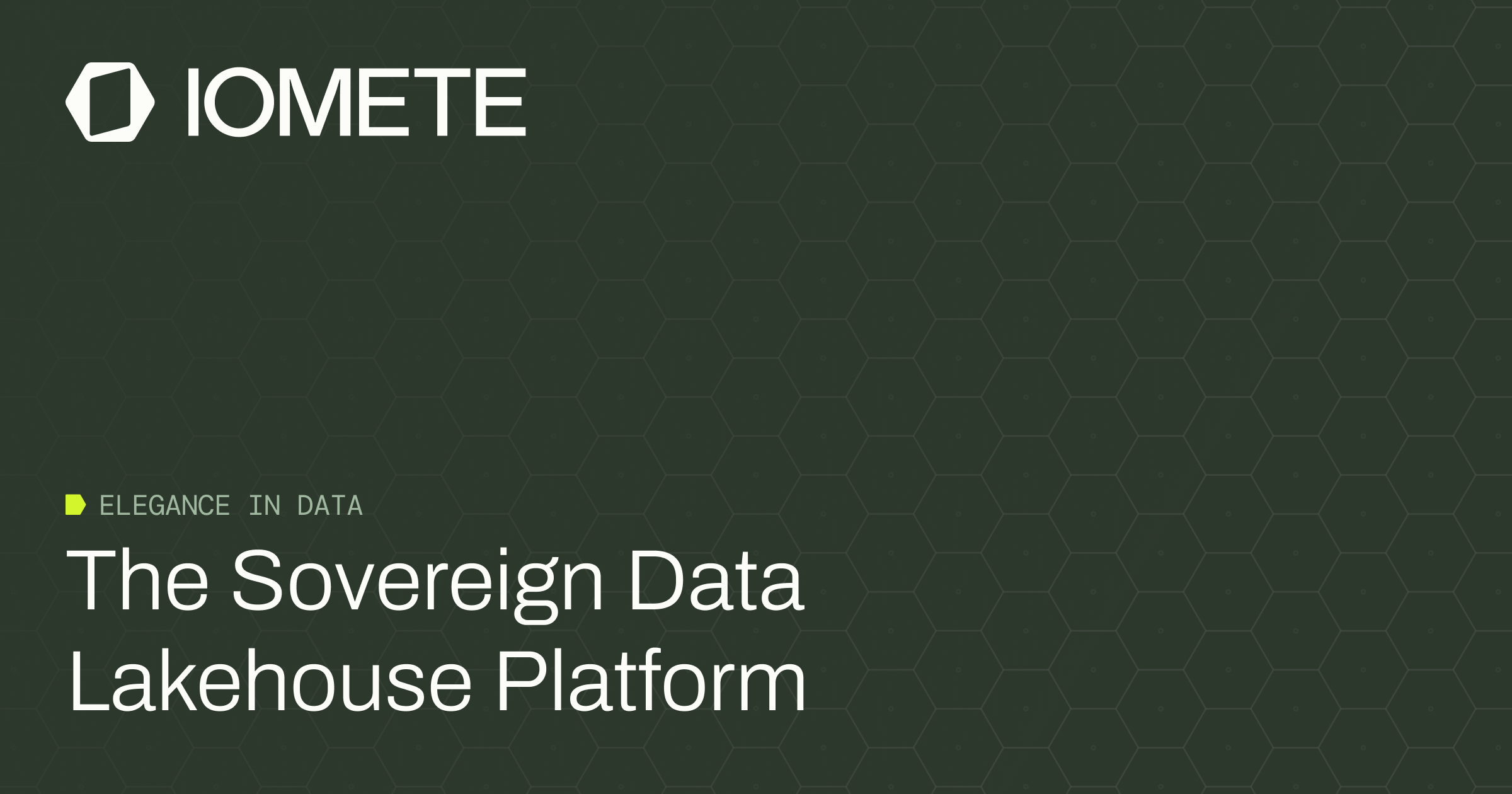 iomete logo