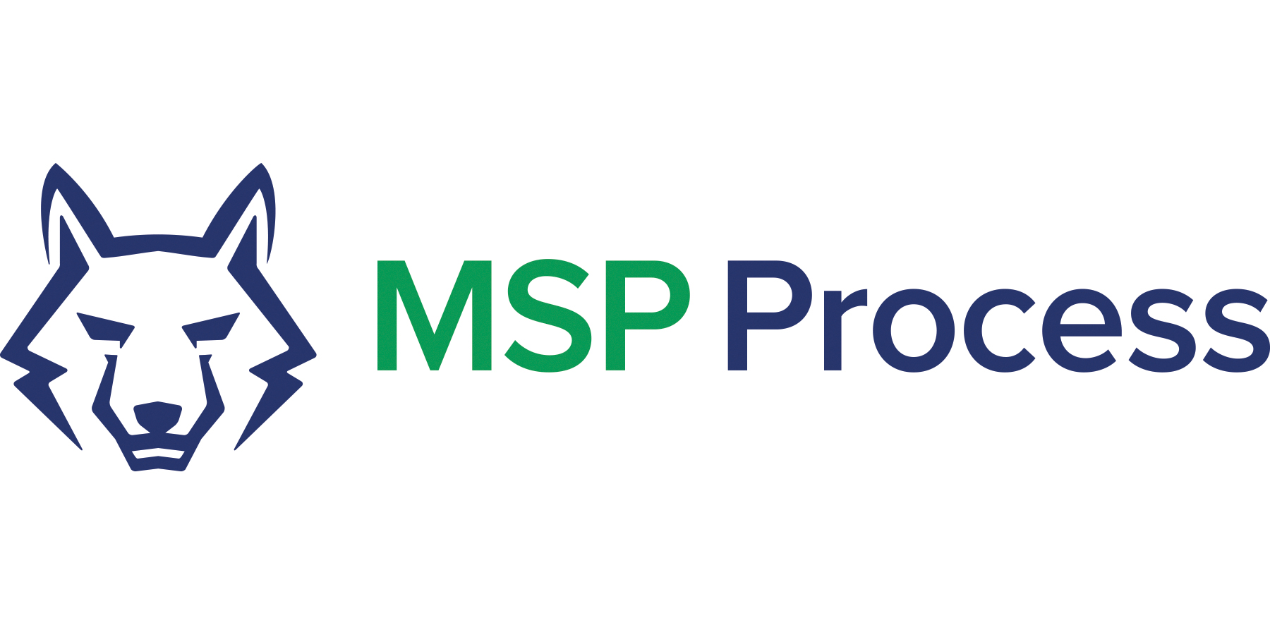 MSP Process LLC logo