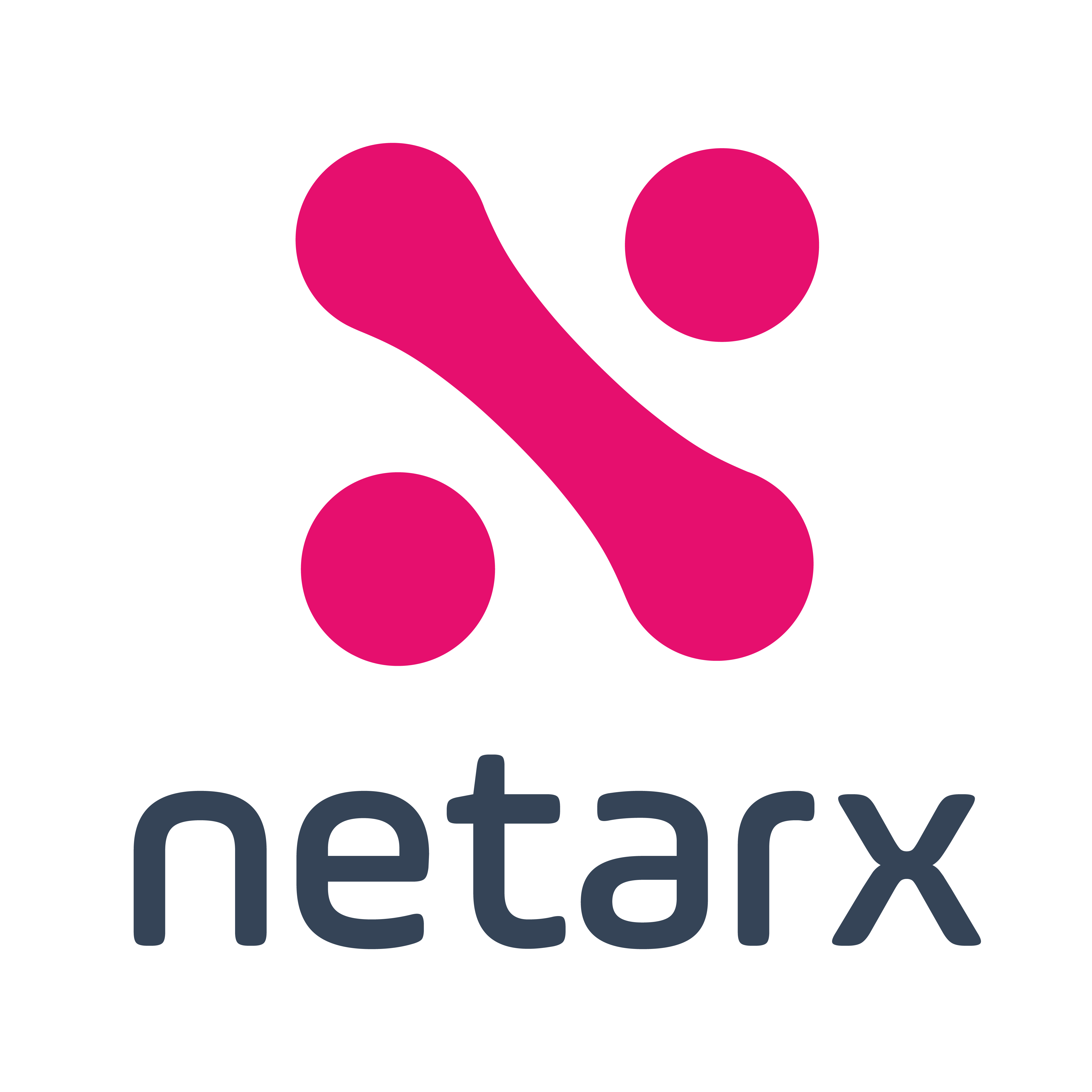 Netarx logo