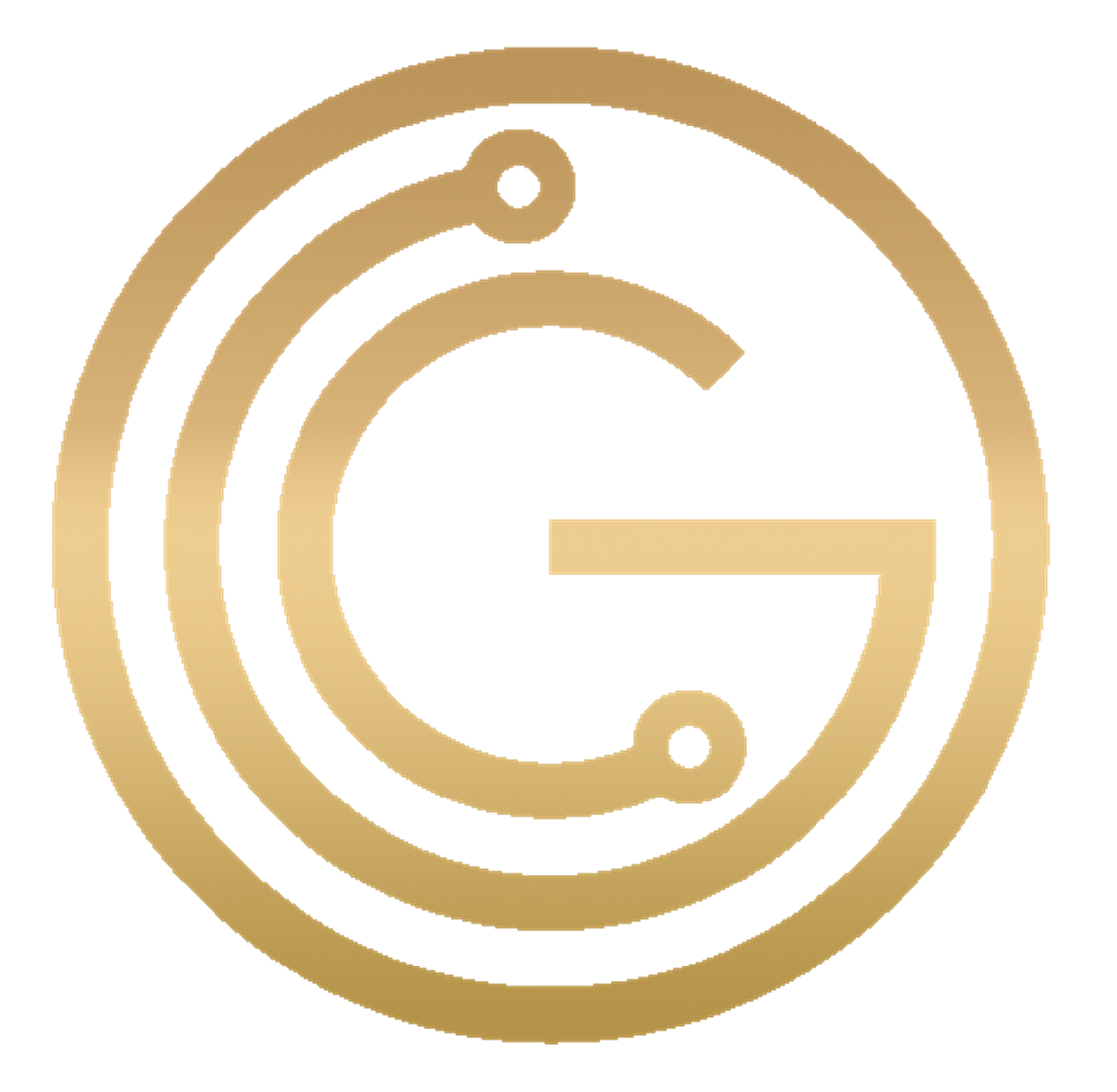 Omni Group Consulting LLC logo