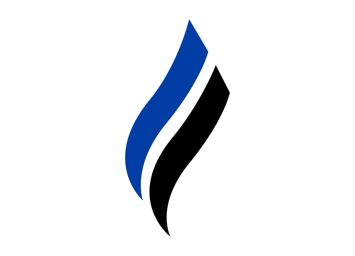 Pcnaid Inc logo