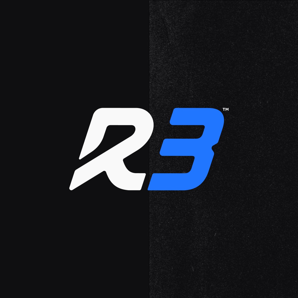 R3 LLC logo