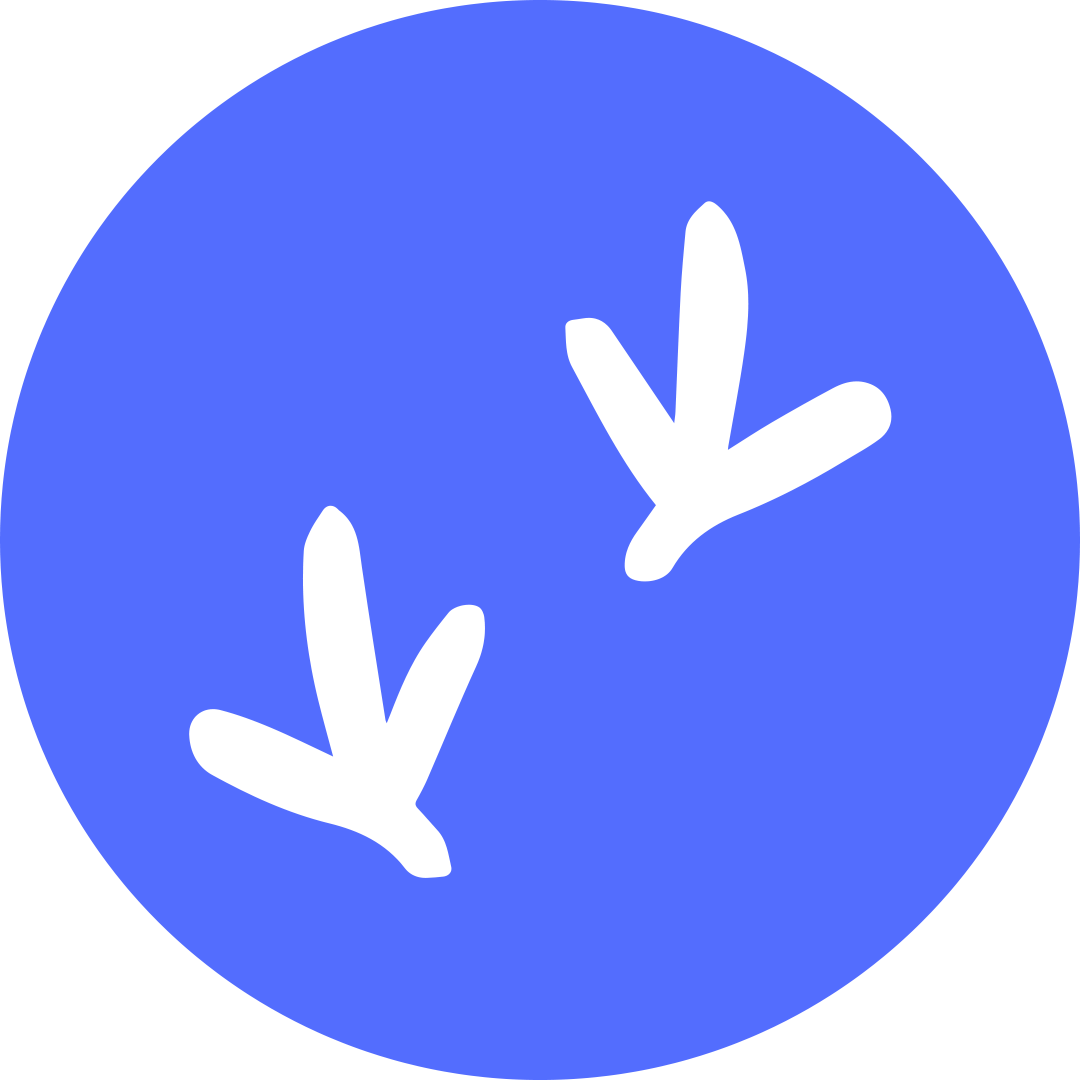 Raven.dev Inc logo