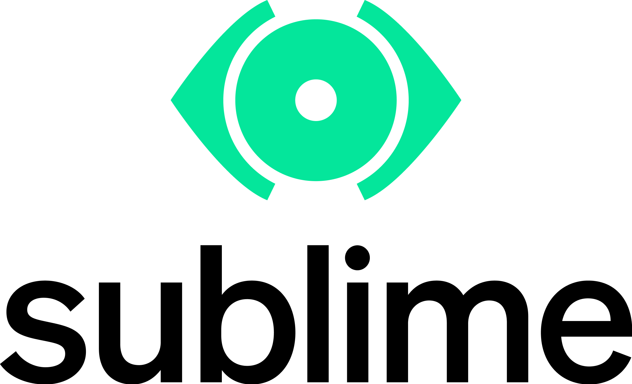 Sublime Security Inc logo