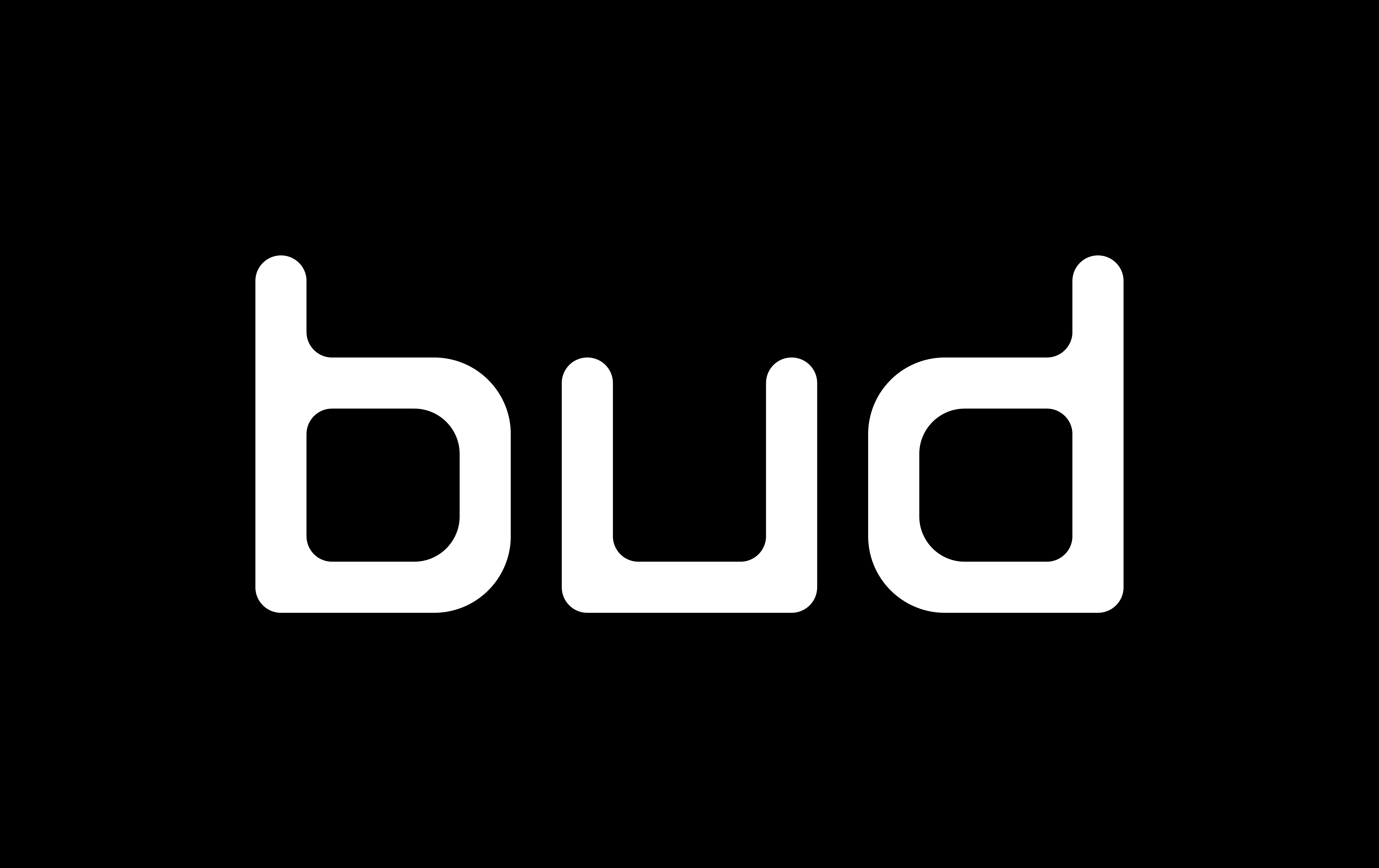 Bud Financial Ltd logo